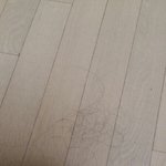 진짜나혹시<b>탈모인</b>거야?ㅠㅠㅠㅠ
