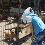 [동행세상] 포천에있는 사설보호<b>소로</b> 봉사 다녀왔습니다.