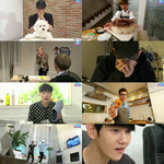 [EXO] 브이앱 한장요약