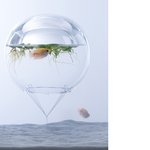 3D 프린터로 <b>어항</b> 꾸미기