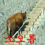 [댓글부탁해] 인생에서 제일 무서웠던 경험 공유해보자ㅠㅠㅠㅠ