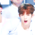 [세븐틴] 아니플<b>디야</b>!!!!!!!!!!!!!