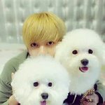 [NCT] <b>지한</b>솔강아짘ㅋㅋㅋㅋㅋㅋㅋㅋㅋㅋㅋ