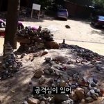 ㅋㅋㅋㅋㅋ회사원 지금 이거 자랑이라고 올리는고야?