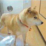 마음 약해지게 눈치보지 <b>말아</b>줘!