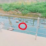 [댓글부탁해] 나 ㄹㅇ <b>멍청이</b>인듯ㅋㅋㅋㅋㅋㅋㅋㅋㅋㅋㅋㅋㅋㅋ