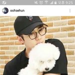 [세훈] 160609 <b>훈</b>스타그램1