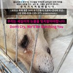 [평강공주] 반<b>송원</b> 아이들의 안식처를 마련해주세요.