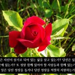 깨어나기