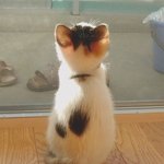 왠지 <b>사연</b>있어 보이는 뒷모습
