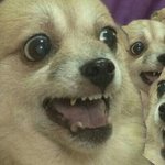 오늘담임<b>쌤</b>사이다