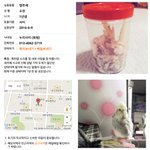 (새)안산시 본오동