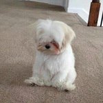 [짝사랑] 제일 힘든게 선배 좋아하는 거 같음ㅠㅠㅜ