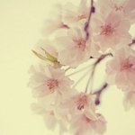 [10대의성] <b>탐폰</b> 써본애들 있어?