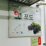 [시우민] ㅅㄷ 영동은 <b>포도</b>가 유명해