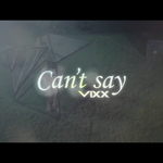 [VIXX] 이노래 처음들어보는 별빛들 많을듯