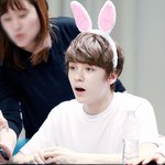 [세븐틴] 아니들어와보라고