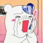 [세븐틴] 우리 <b>캐럿</b>떨 