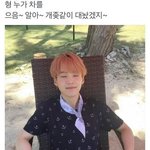 [방탄소년단] 누가차를