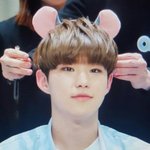 [세븐틴] ㅅㄷ)나 갑자기 권이라는 글자가