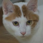 그 겨울, 참 춥고 외로웠습니다.