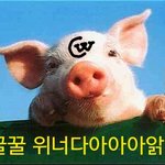 [위너] 인서들아 이거보초좀부탁해