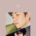 [EXO] 이번 엑소 앨범