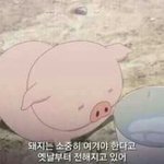 [드루와] 와씨 ㅋㅋㅋㅋㅋㅋ 이래서 무서워서 살겠냐
