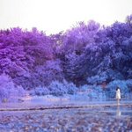 [엔터톡] 팬들한테 왜이래?ㅋㅋㅋㅋ