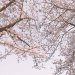 동생이 집나갔어