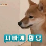 [조언부탁해] 가슴만지고 튀는 친구 너무 싫다;