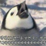 [드루와] 우리<b>반</b> <b>여자</b>애를 좋아하는 남자애가