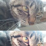 보정 대박인 <b>앱</b> (광고아님)