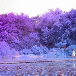 [BTOB] <b>현식</b>이 이 장면에서 배경 너무 이쁨