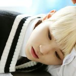 [세븐틴] ㅅㄷ오랜만에 