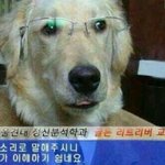[댓글부탁해] <b>캐릭터</b>카드지갑? 이런거 어디서파는거임;;;??