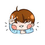 [세븐틴] 생일 기념 찐빵같은 <b>순영</b>이