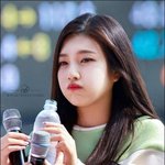 [육성재조이] 둥둥이 사진 <b>방출</b>