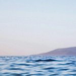 [드루와] 엑소팬들은 특이한게ㅋㅋㅋㅋㅋㅋ