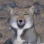 [댓글부탁해] 나 오늘 <b>화장실</b>에 갇혔었어ㅠㅠ