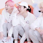 [위너] 인서들인서들!!!