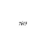 [방탄소년단] 7613