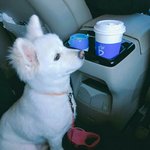 [방탄소년단] 랩<b>모니</b>도 3주년 축하한대