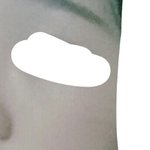 누구 <b>코가</b> 더이쁨?