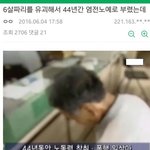 [개깊은빡침] 신안 노예시대 역사