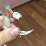 간식에서 <b>종이</b> 나왔네요. 회사는 연락 씹고..