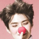 [조언부탁] 추가)추가)또추가)추가)나 이게 입덕이니?ㅠㅠ