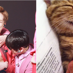 [시우민] 끄앙 <b>슈</b>냥이 간지러웟(시우민)
