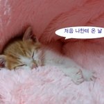 나의 동거남 <b>도칠</b>이 애기때 사진