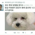 [EXO] 카재 팬싸<b>응모</b>에 160장산 팬있대